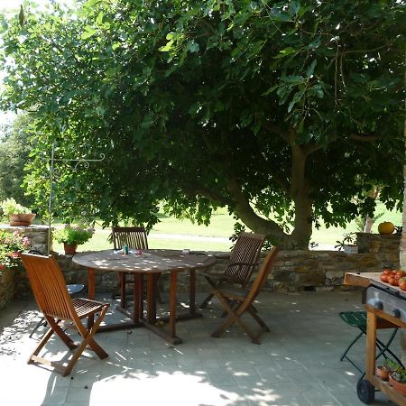 Podere Pian Di Cava Castelnuovo di Val di Cecina Luaran gambar