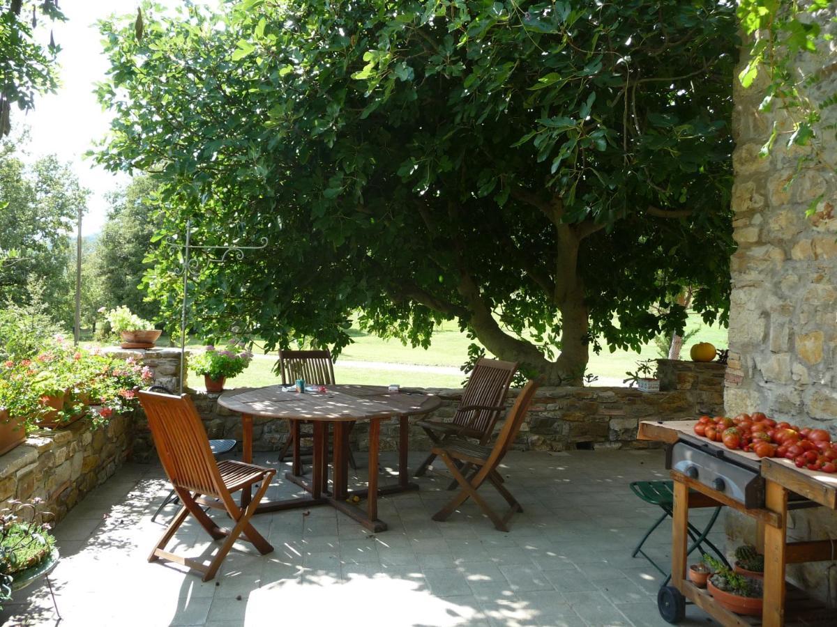 Podere Pian Di Cava Castelnuovo di Val di Cecina Luaran gambar