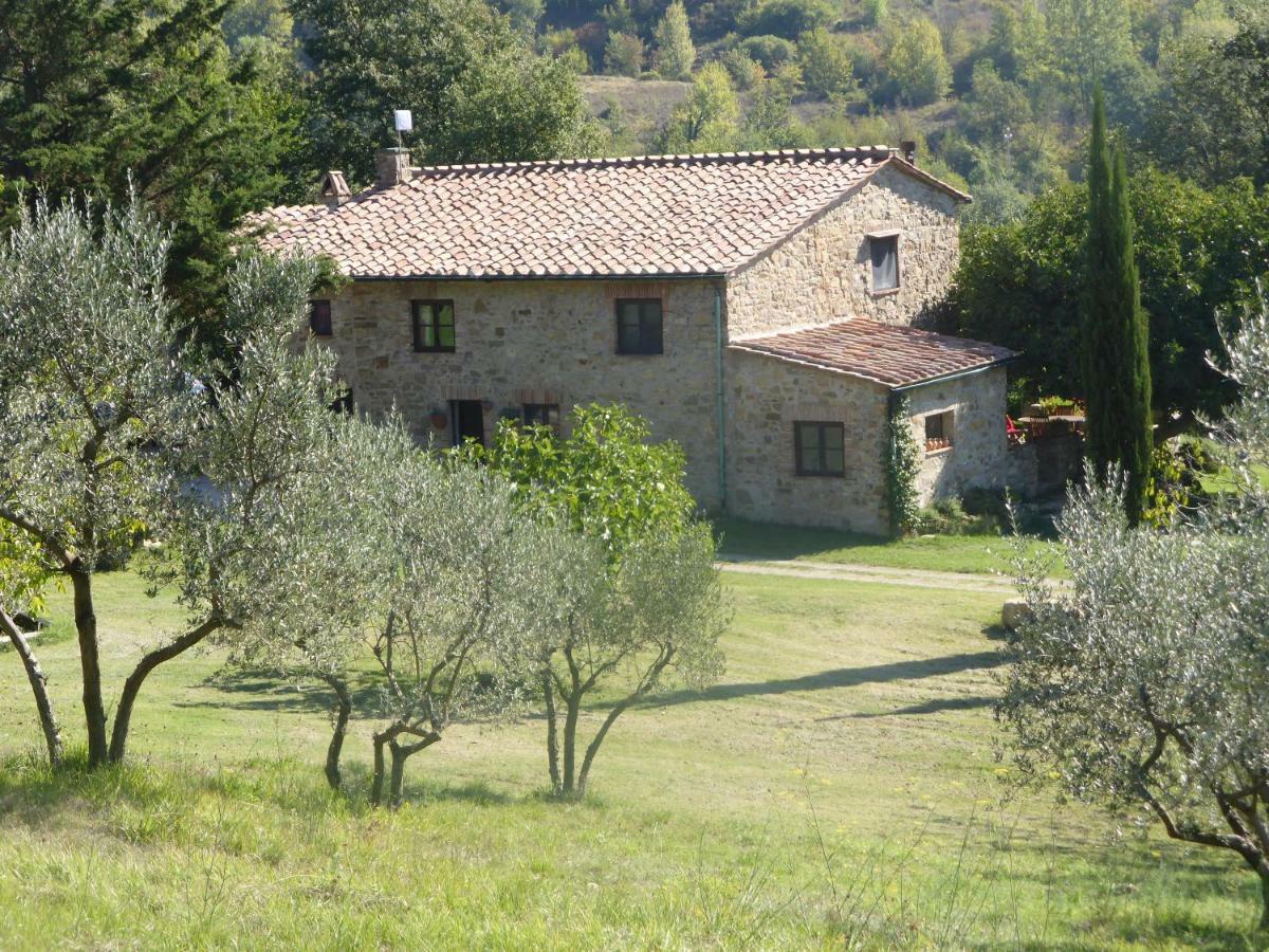 Podere Pian Di Cava Castelnuovo di Val di Cecina Luaran gambar