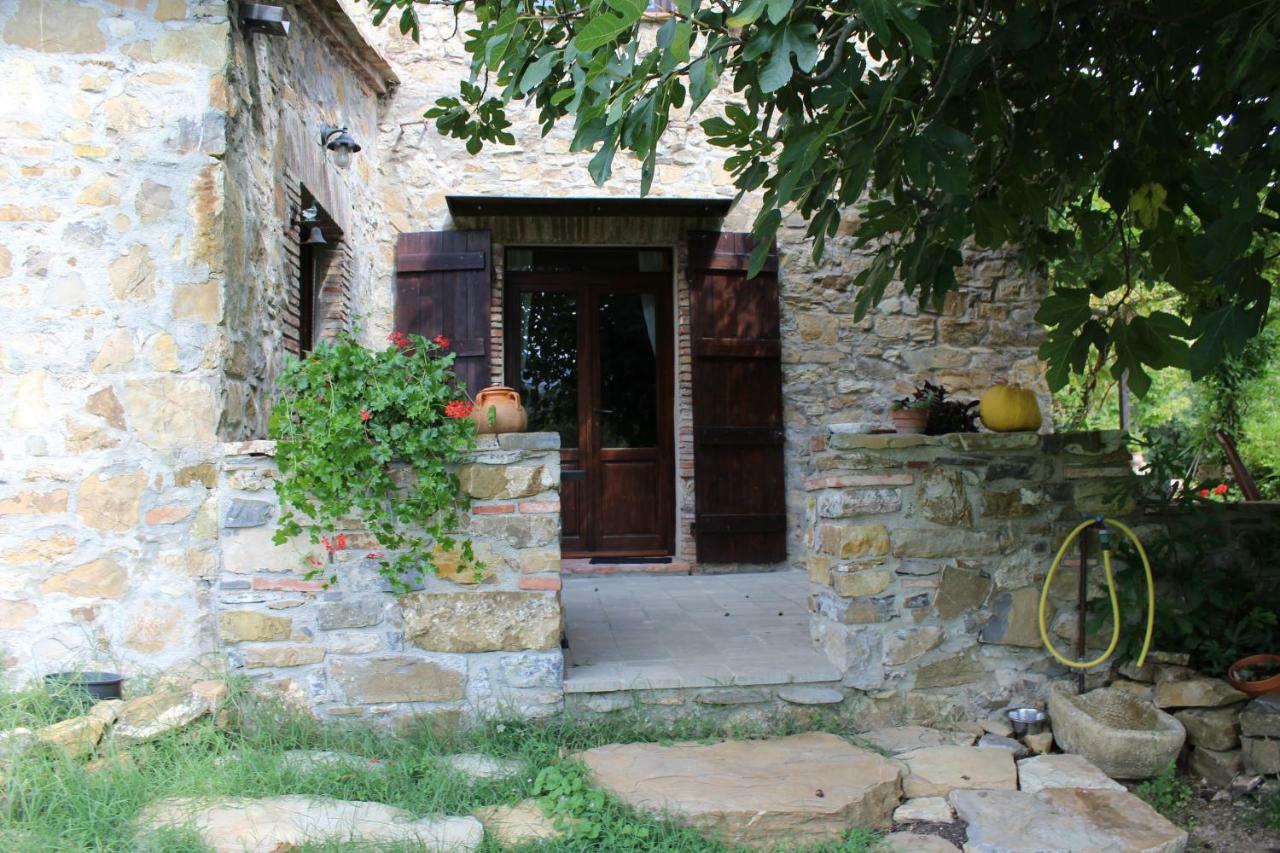 Podere Pian Di Cava Castelnuovo di Val di Cecina Luaran gambar