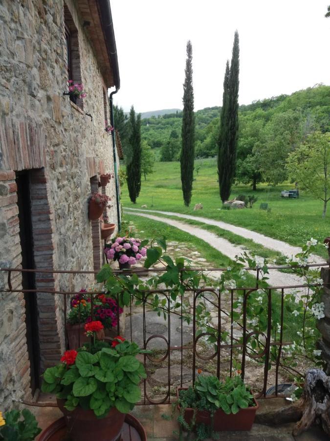 Podere Pian Di Cava Castelnuovo di Val di Cecina Luaran gambar